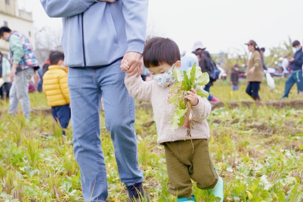 竹市彩虹蘿蔔千人採收趣 市長高虹安：結合食農親子教育體驗 打造友善環境教育