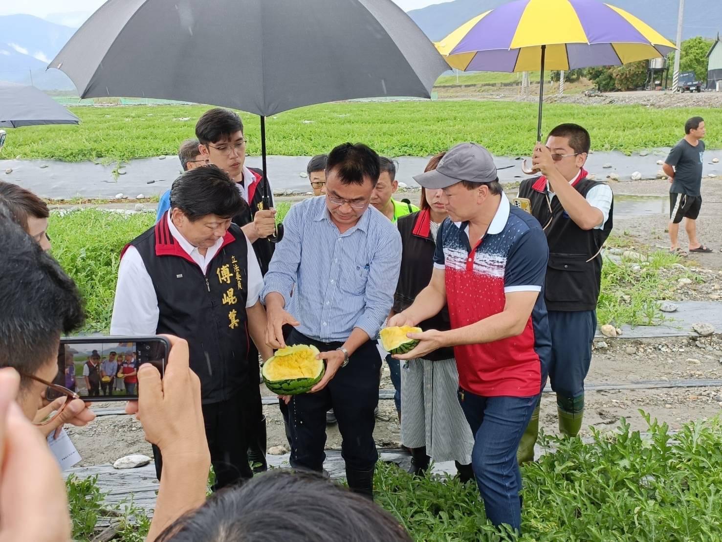 杜蘇芮颱風豪雨強襲 花蓮西瓜農損慘重 立委傅崐萁協助爭取災害補助 陳吉仲主委允諾全力救助每公頃補助6萬2加2萬元資材補助！