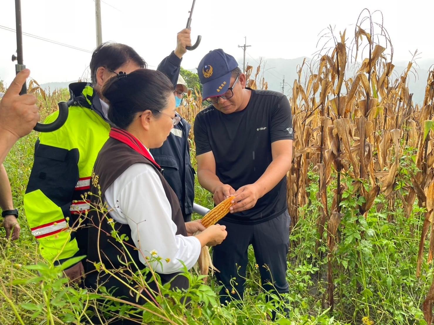 花蓮縣政府全面勘查爭取農業部第2次公告杜蘇芮颱風現金救助 受理期限8/4至8/14止