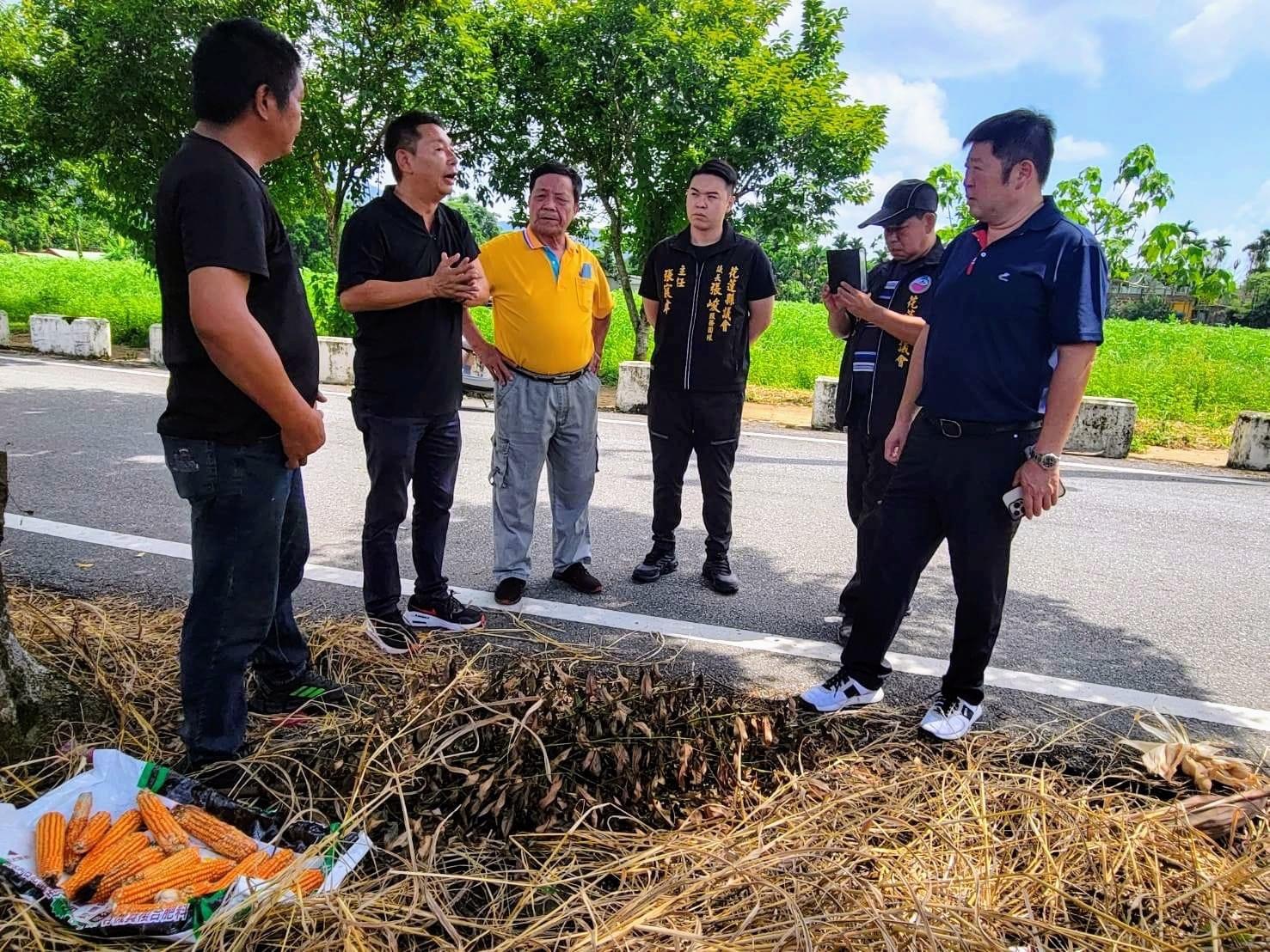 中區硬質玉米豪雨潮濕發芽 張峻關心受災農民會勘協調後 農業天然災害救助啟動