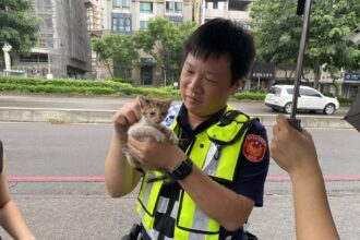 「海葵」威力萌貓也認證 中警化身貓爸爸冒雨搶救