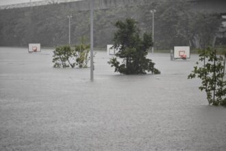 員林市強降雨 圓林園滯洪池滿溢了