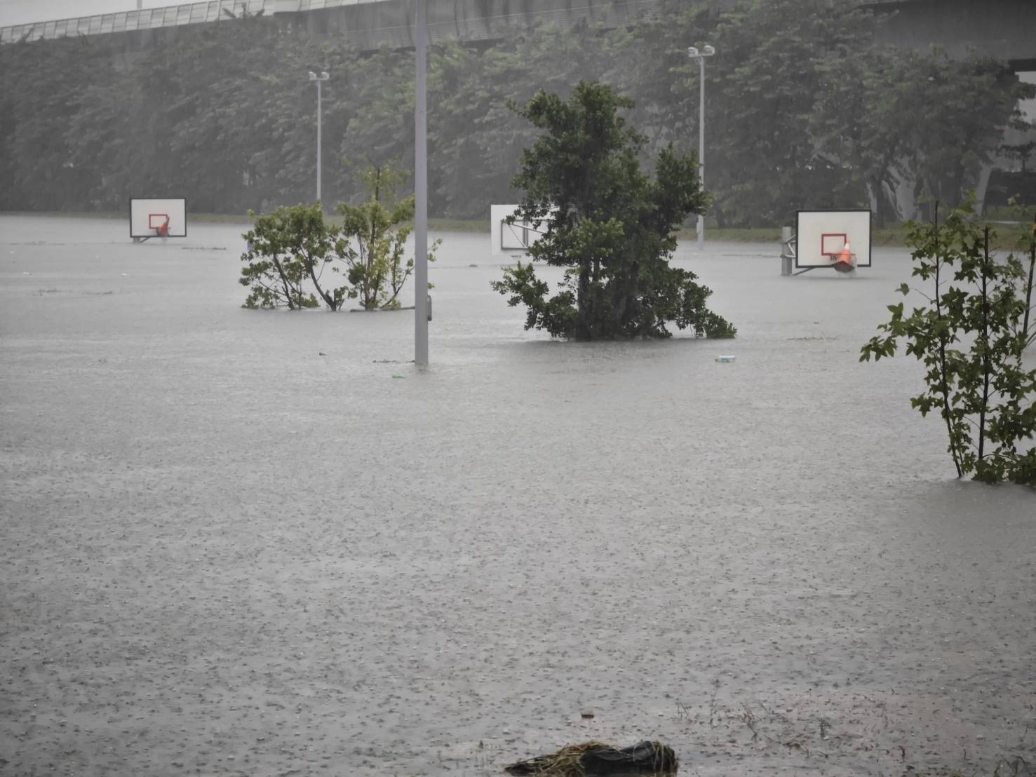 員林市強降雨-圓林園滯洪池滿溢了