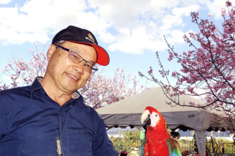 彷彿出國置身京都  攝影愛好者  網紅前往朝聖參觀