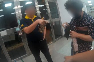 皮包掉小黃警來助 婦感激：「你的小事是我的大事」