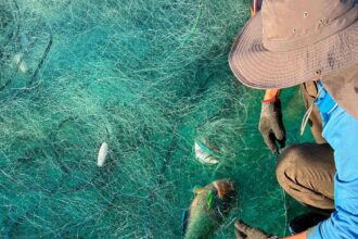 守護海洋資源-嚴禁非法漁業活動
